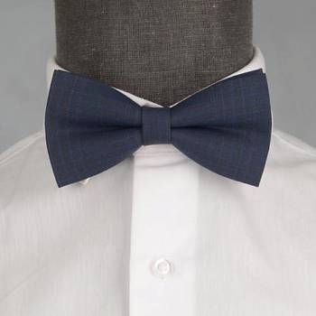 Бабочка мужская 0216