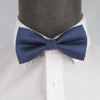 Бабочка мужская 0082