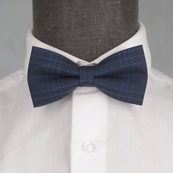 Бабочка мужская 0149