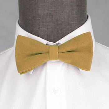 Бабочка мужская 0169